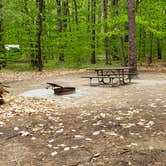 Review photo of White Lake State Park Campground by Jean C., June 10, 2019