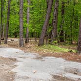 Review photo of White Lake State Park Campground by Jean C., June 10, 2019