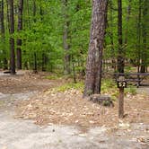 Review photo of White Lake State Park Campground by Jean C., June 10, 2019