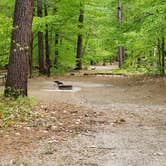 Review photo of White Lake State Park Campground by Jean C., June 10, 2019