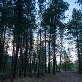 Review photo of Boulder Creek Campground by Shari  G., August 31, 2016