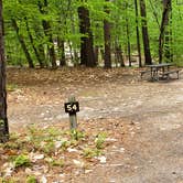 Review photo of White Lake State Park Campground by Jean C., June 10, 2019