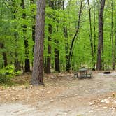 Review photo of White Lake State Park Campground by Jean C., June 10, 2019