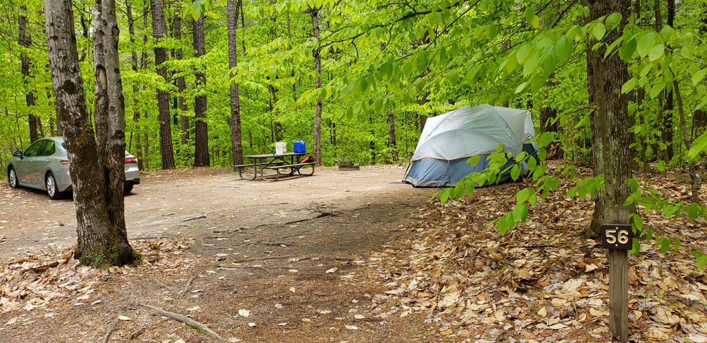 Jean C.'s photo at White Lake State Park Campground near Freedom, NH