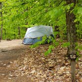 Review photo of White Lake State Park Campground by Jean C., June 10, 2019