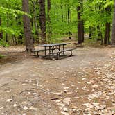 Review photo of White Lake State Park Campground by Jean C., June 10, 2019