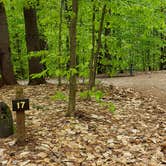 Review photo of White Lake State Park Campground by Jean C., June 10, 2019