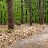 Review photo of White Lake State Park Campground by Jean C., June 10, 2019