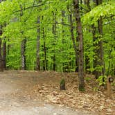 Review photo of White Lake State Park Campground by Jean C., June 10, 2019