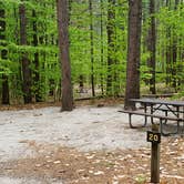 Review photo of White Lake State Park Campground by Jean C., June 10, 2019