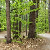 Review photo of White Lake State Park Campground by Jean C., June 10, 2019