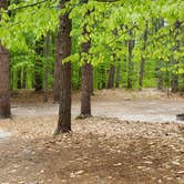 Review photo of White Lake State Park Campground by Jean C., June 10, 2019