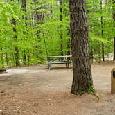 Review photo of White Lake State Park Campground by Jean C., June 10, 2019