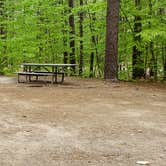 Review photo of White Lake State Park Campground by Jean C., June 10, 2019