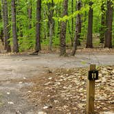 Review photo of White Lake State Park Campground by Jean C., June 10, 2019