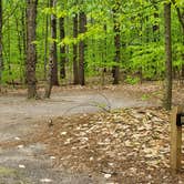 Review photo of White Lake State Park Campground by Jean C., June 10, 2019