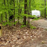 Review photo of White Lake State Park Campground by Jean C., June 10, 2019