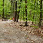 Review photo of White Lake State Park Campground by Jean C., June 10, 2019