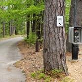 Review photo of White Lake State Park Campground by Jean C., June 10, 2019