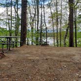 Review photo of White Lake State Park Campground by Jean C., June 10, 2019