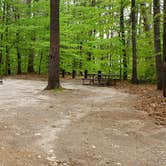 Review photo of White Lake State Park Campground by Jean C., June 10, 2019