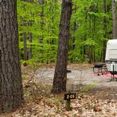 Review photo of White Lake State Park Campground by Jean C., June 10, 2019