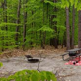 Review photo of White Lake State Park Campground by Jean C., June 10, 2019