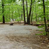 Review photo of White Lake State Park Campground by Jean C., June 10, 2019