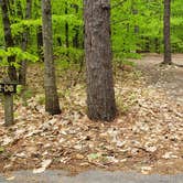 Review photo of White Lake State Park Campground by Jean C., June 10, 2019