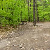 Review photo of White Lake State Park Campground by Jean C., June 10, 2019