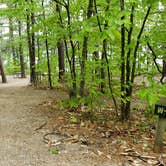 Review photo of White Lake State Park Campground by Jean C., June 10, 2019