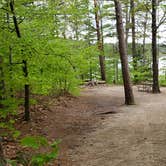 Review photo of White Lake State Park Campground by Jean C., June 10, 2019