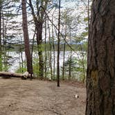 Review photo of White Lake State Park Campground by Jean C., June 10, 2019