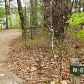 Review photo of White Lake State Park Campground by Jean C., June 10, 2019