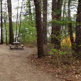 Review photo of White Lake State Park Campground by Jean C., June 10, 2019