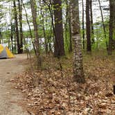 Review photo of White Lake State Park Campground by Jean C., June 10, 2019