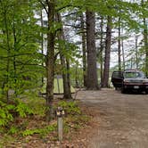 Review photo of White Lake State Park Campground by Jean C., June 10, 2019