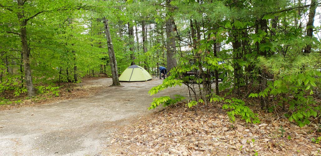 Jean C.'s photo at White Lake State Park Campground near Effingham, NH