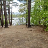 Review photo of White Lake State Park Campground by Jean C., June 10, 2019