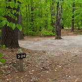 Review photo of White Lake State Park Campground by Jean C., June 10, 2019