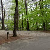 Review photo of White Lake State Park Campground by Jean C., June 10, 2019