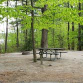 Review photo of White Lake State Park Campground by Jean C., June 10, 2019