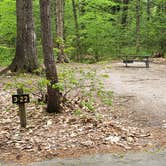 Review photo of White Lake State Park Campground by Jean C., June 10, 2019