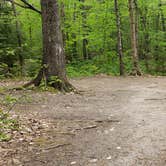 Review photo of White Lake State Park Campground by Jean C., June 10, 2019