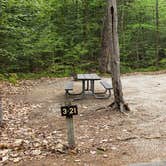 Review photo of White Lake State Park Campground by Jean C., June 10, 2019