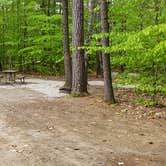 Review photo of White Lake State Park Campground by Jean C., June 10, 2019