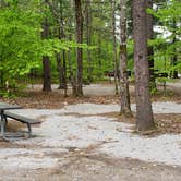 Review photo of White Lake State Park Campground by Jean C., June 10, 2019