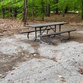 Review photo of White Lake State Park Campground by Jean C., June 10, 2019