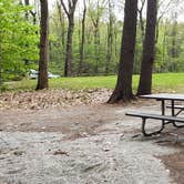 Review photo of White Lake State Park Campground by Jean C., June 10, 2019