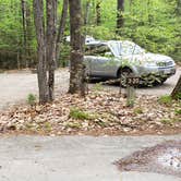 Review photo of White Lake State Park Campground by Jean C., June 10, 2019